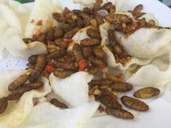 -东江湖游水三文鱼美食城