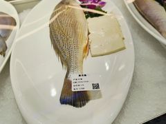 -舟小鲜·舟山小渔村(凤城四路中登广场店)