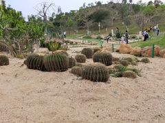 -东莞植物园
