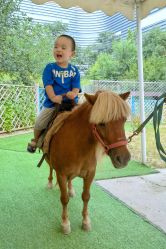 -萌宠亲子动物乐园(槐房万达店)