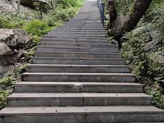 -王顺山国家森林公园