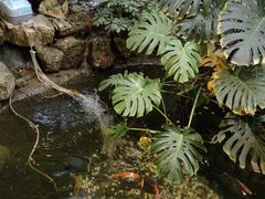 -聚缘堂·海鲜私房菜(松岭路店)