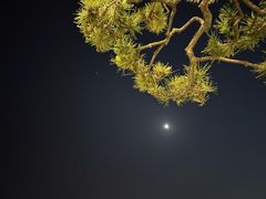 -海云台海滩
