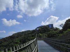 -福道