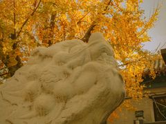 -北京石刻艺术博物馆(五塔寺)