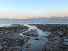 -深圳湾公园(南山区)