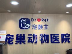 -宠颐生宠物医院·异宠猫科内科·诊疗中心宠巢店