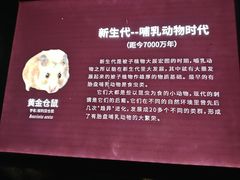 -江和美海洋公园