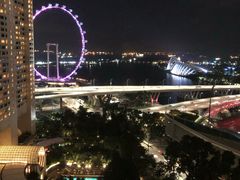 -新加坡文华东方酒店