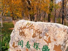 -北宫国家森林公园