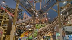 -卡通尼·Safari非洲探索乐园·生日会(金桥国际商业广场店)