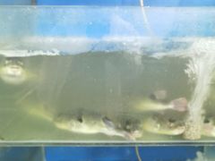 -瀏河老街土菜館(浏河店)