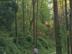 -莫干山风景区