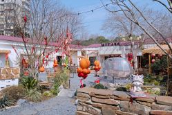 -觅糖派对·宝宝宴生日宴一站式派对策划(河西店)