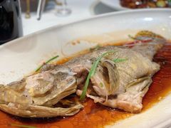 -宝轩渔府·老字号海鲜·正宗津菜(水上店)