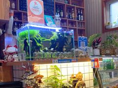 -Rabbit Cafe私房西餐甜点咖啡(栖霞路店)