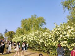 -漕湖湿地公园