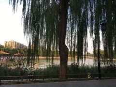 景点-陶然亭公园