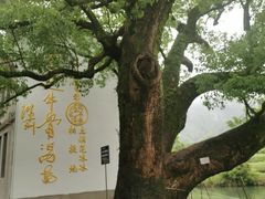 -上坦村