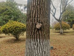 -东华大学(松江校区)