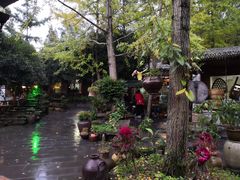 -青城甲(青城山店)