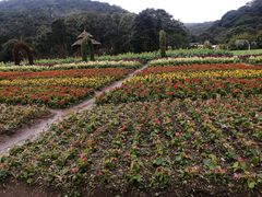 -广州市石门国家森林公园
