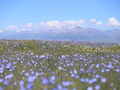 -赛里木湖风景名胜区