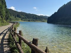 -武陵山森林公园