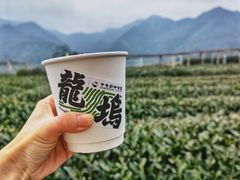 -龙坞茶村