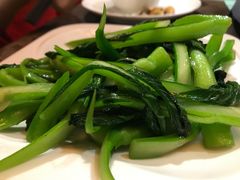 -范设计花园餐酒咖·中西餐·咖啡厅·酒馆