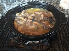 -蘑统田下·野生菌火锅