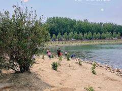 -丁香湖公园
