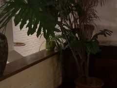 -水边(郯城店)