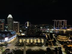 -新加坡瑞士史丹福酒店