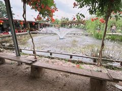 -同銮特种养殖场·龙虾垂钓