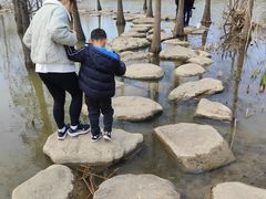 -上海长兴岛郊野公园