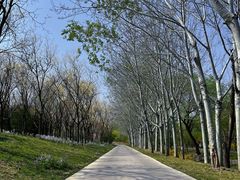 -北坞公园