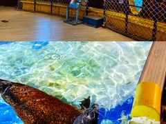 -太平洋海底世界