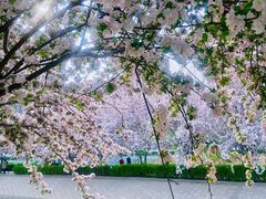 -海棠花溪(元大都城垣遗址公园)