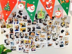 -PETKIT 小佩宠物·低压洗护·美容·寄养(安远店)