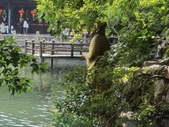 -孔氏南宗家庙