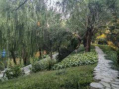 -元大都城垣遗址公园