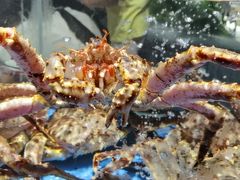 -徐记海鲜(南油永新汇店)