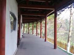 -重庆彩云湖湿地公园