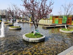 -白塘生态植物园