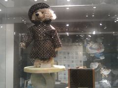 -济州岛泰迪熊博物馆