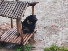 -青藏高原野生动物园