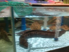 -阿伟海鲜楼·福建菜(延寿店)