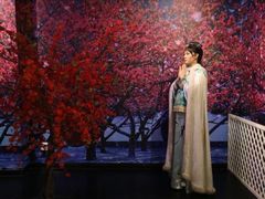 -武汉杜莎夫人蜡像馆