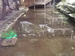 -天怡·鱼工厂(梅溪湖店)
